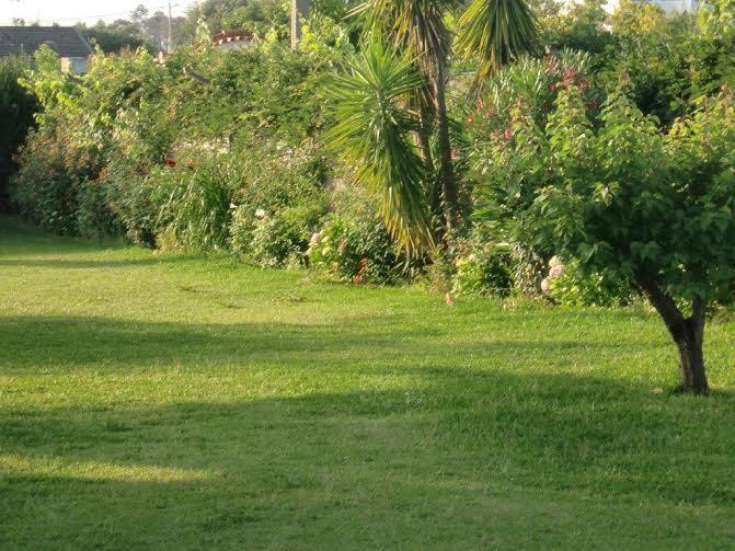 Apartmán Quinta Da Harmonia Azeitão Exteriér fotografie