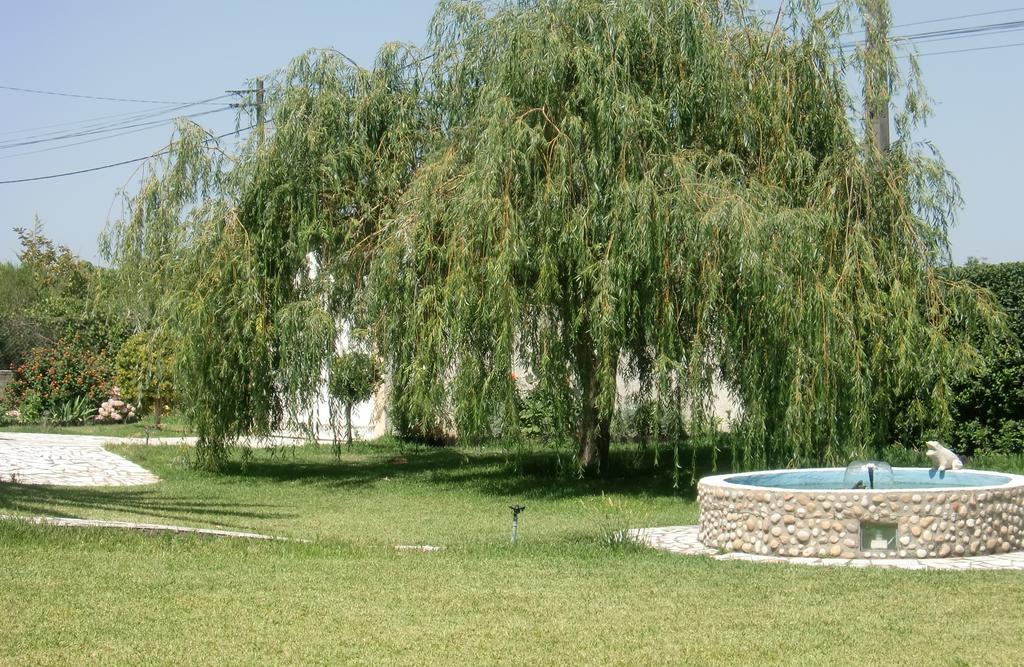 Apartmán Quinta Da Harmonia Azeitão Exteriér fotografie